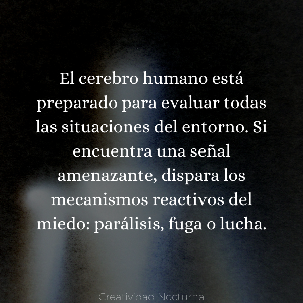 Frase Los mecanismos del miedo